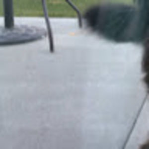 Meet your Posher, Lena